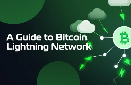 A Guide to Bitcoin Lightning Network