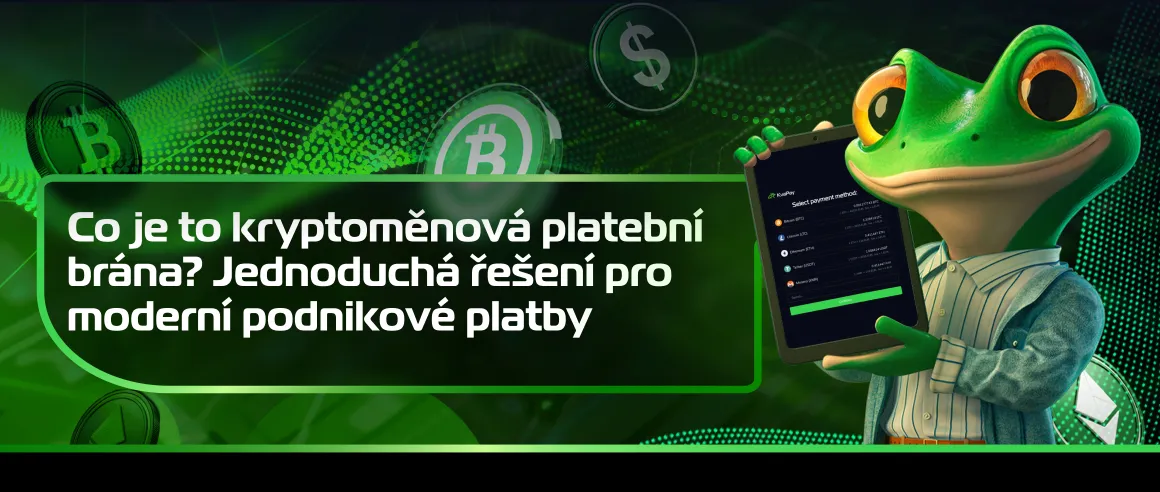 Co je to kryptoměnová platební brána? Jednoduchá řešení pro moderní podnikové platby