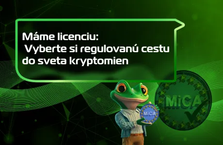 Sme licencovaný podľa MiCA: Vyberte si regulovanú cestu do sveta kryptomien